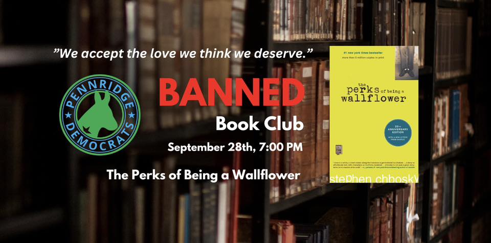 September Banned Book Club - Perks of Being a Wallflower by Stephen Chbosky
